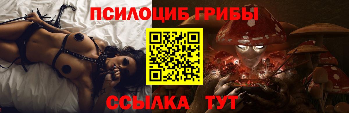 Бузулук  Галлюциногенные грибы Psilocybe  Вход с VPN 